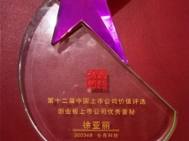 董秘徐亞麗女士榮獲“第十二屆中國創(chuàng)業(yè)板上市公司優(yōu)秀董秘獎”